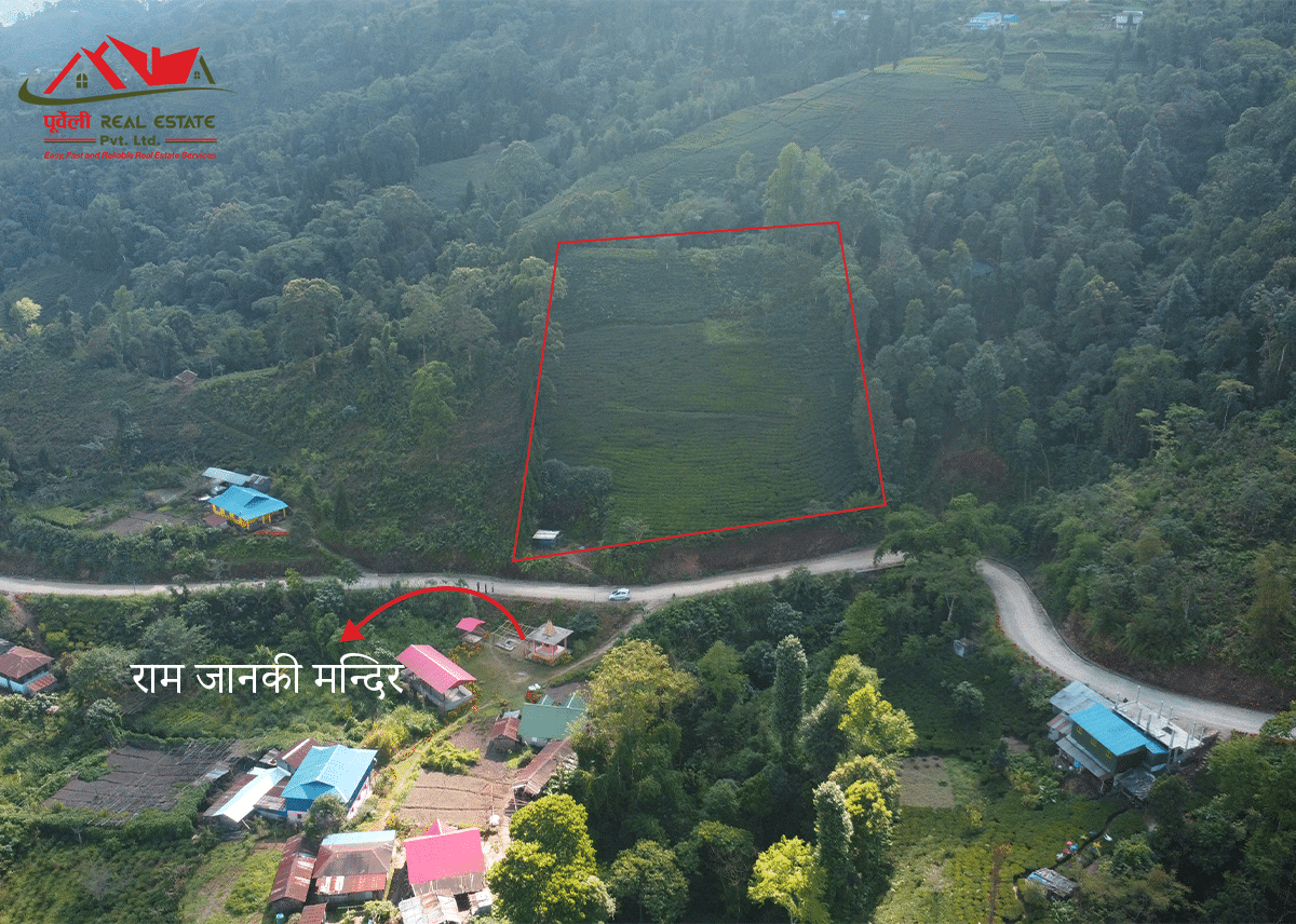 सुर्योदय नगरपालिका-०६, हर्कटेमा १८ रोपनी जग्गा बिक्रीमा | 18 Ropani land on sale at Suryodaya Municipality-06, Harkate, Ilam