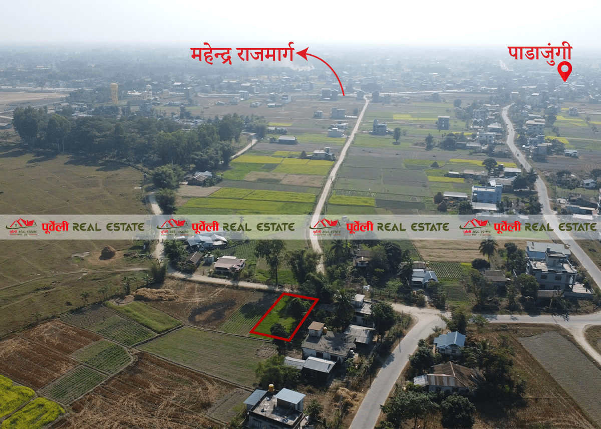 10 Dhur land on sale at Kamal- 05 | कमल गाउँपालिका- ०५, पाडाजुंगी स्टार पार्टी प्यालेस देखि ७०० मिटर उत्तरमा १० धुर नेट जग्गा बिक्रीमा |